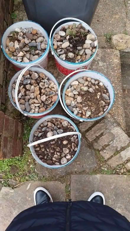 Photo of free 5 Buckets Of Shingle (CT17) #1