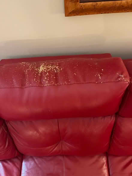 Photo of free 86” Red leather couch (Lorton) #2