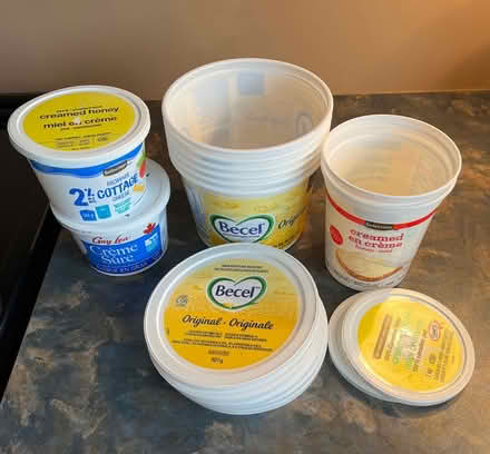 Photo of free Plastic containers with lids (Kanata (Katimavik)) #1