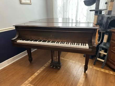 Photo of free Steinway Baby Grand Piano (morningside (near Zoo)) #1