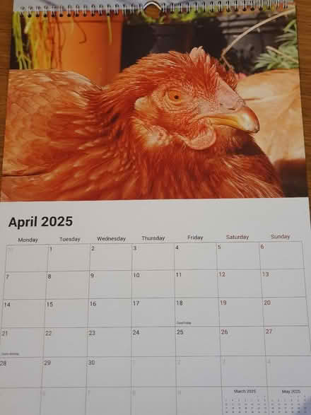 Photo of free Unused 2025 calendar 42cm x 30cm (Adel LS16) #4