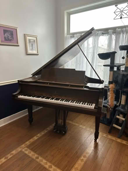 Photo of free Steinway Baby Grand Piano (morningside (near Zoo)) #4