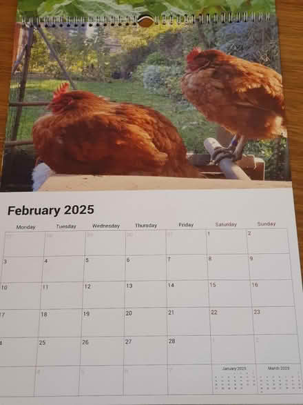 Photo of free Unused 2025 calendar 42cm x 30cm (Adel LS16) #2