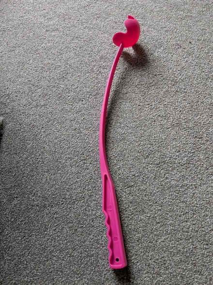 Photo of free Pink ball flinger (Gosport PO12) #1