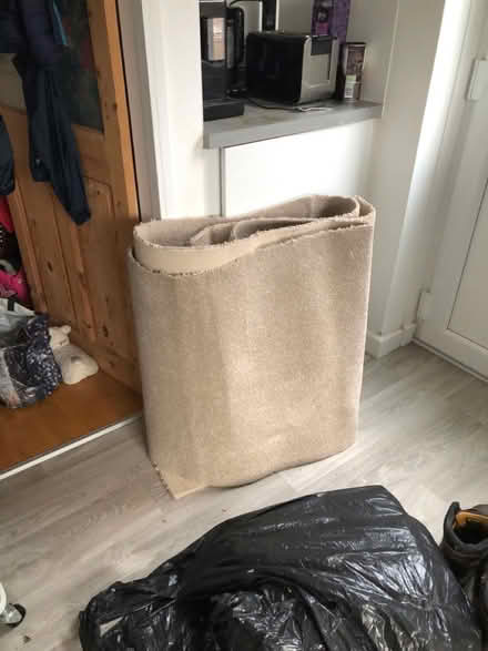 Photo of free Carpet off cuts (West Meads PO21) #4