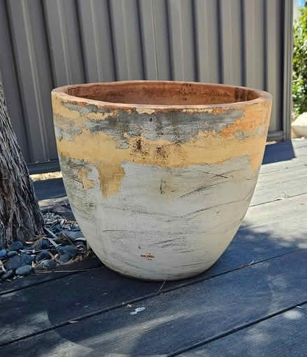 Photo of free Terracotta pot (North Beach) #1