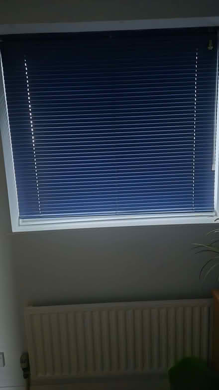 Photo of free Venetian Blind (Portishead BS20) #1