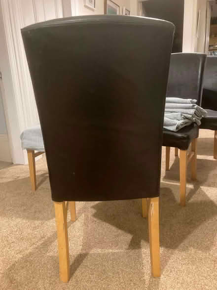 Photo of free Six padded dining chairs and covers (North Kelvinside G20) #2