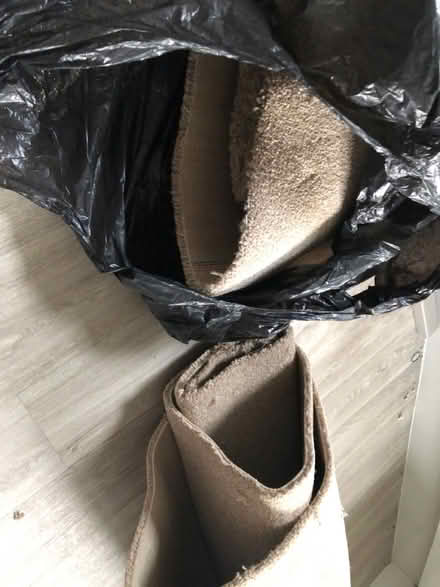 Photo of free Carpet off cuts (West Meads PO21) #2