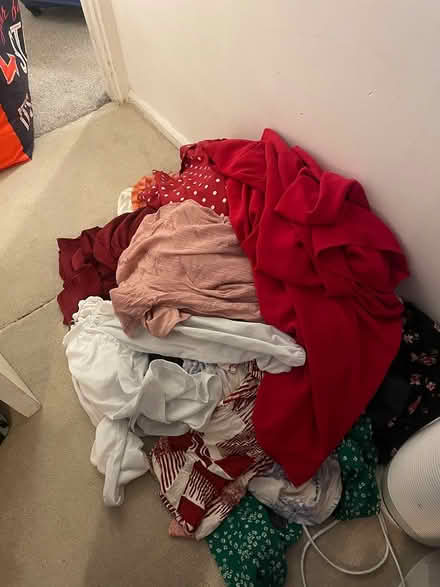 Photo of free Women’s clothes (Bracknell’s RG42) #2