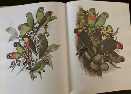 Photo of free 1978 parrots of the world book (Pembroke Pines) #3
