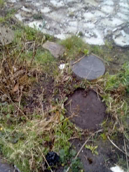 Photo of free Garden stepping stones (Prenton wireal) #1