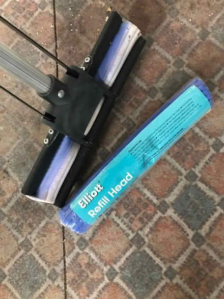 Photo of free Squeegee type mop (Woodley RG5) #3