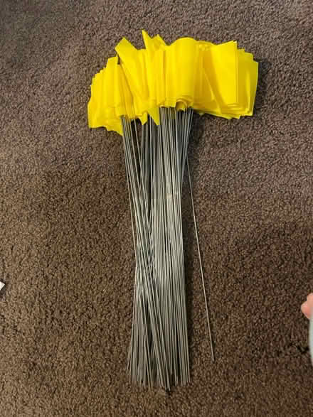 Photo of free Yellow garden flags (Alexandria section of Fairfax) #1