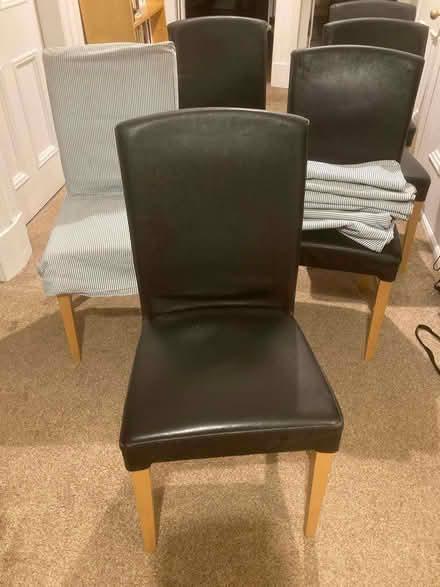 Photo of free Six padded dining chairs and covers (North Kelvinside G20) #1