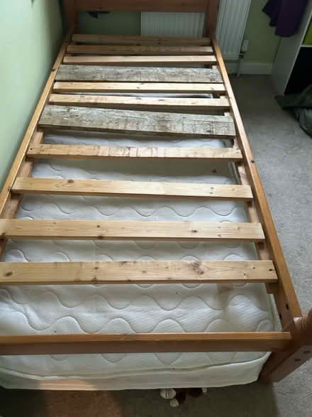 Photo of free Pine trundle bed no mattresses (Claygate KT10) #3