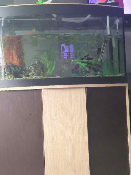 Photo of free Fish Tank & Cupboard (Glapwell CP S44) #1