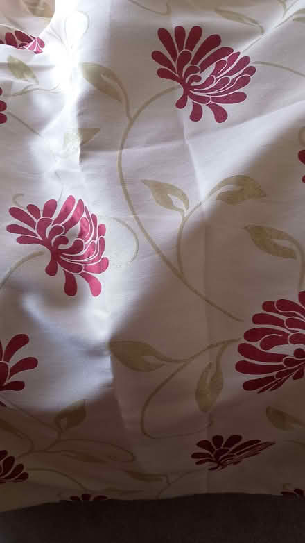 Photo of free Curtains with red flowers (Emmbrook RG41) #1