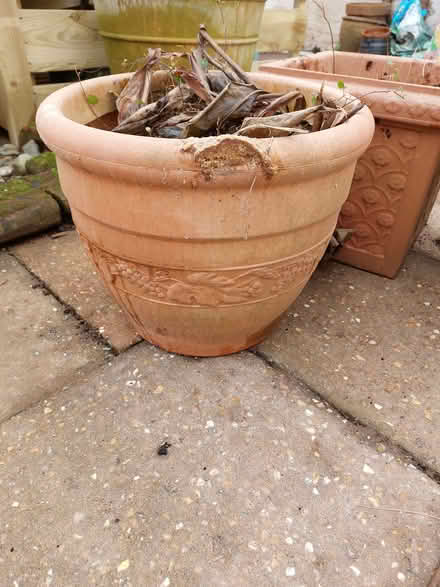 Photo of free Three plastic plant containers / pots (Wymondham NR18) #2