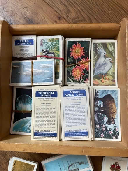 Photo of free Vintage trading cards (Chiswick W4) #3