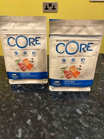 Photo of free Core adult cat food (Oughtibridge S35) #1