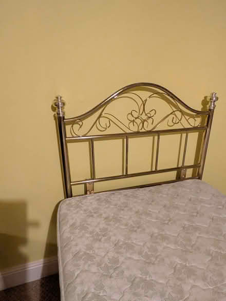 Photo of free Two single divan beds (Park Central B15) #2