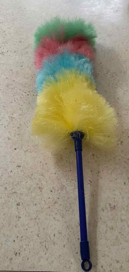 Photo of free Cobweb duster (Lullington BA11) #1