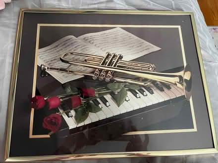 Photo of free 11x14 in. framed instrument photo (Mohegan Lake) #1