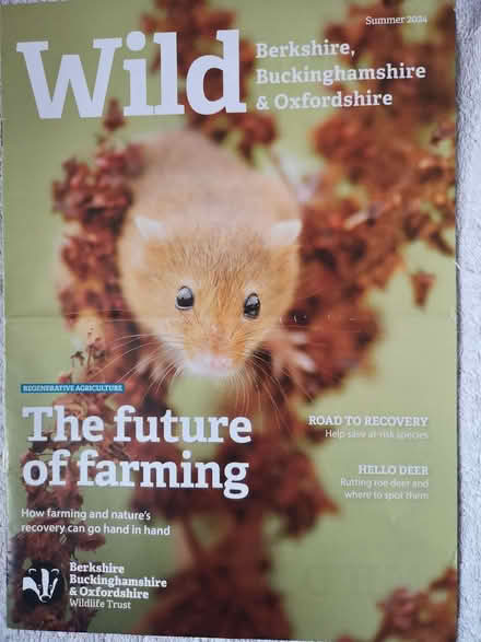 Photo of free RSPB magazines (Heelands MK13) #2