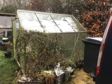 Photo of free Greenhouse (Reymerston NR9) #2