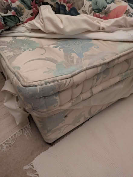 Photo of free Double divan bed (Park Central B15) #3