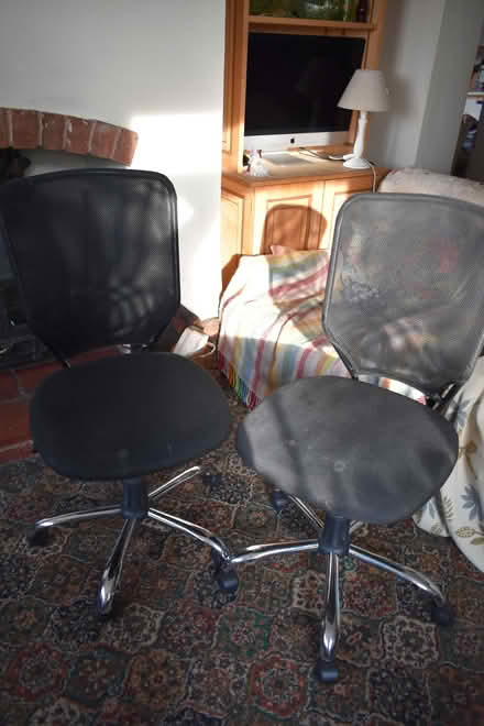 Photo of free A Pair Office Chairs (Bockleton WR15) #1