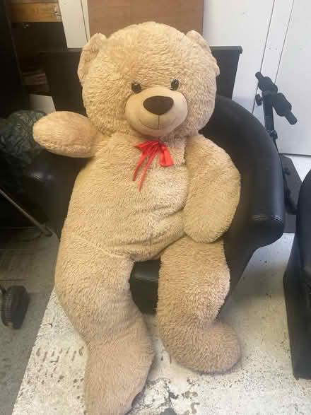 Photo of free Giant Teddy Bear (Dublin 11) #1