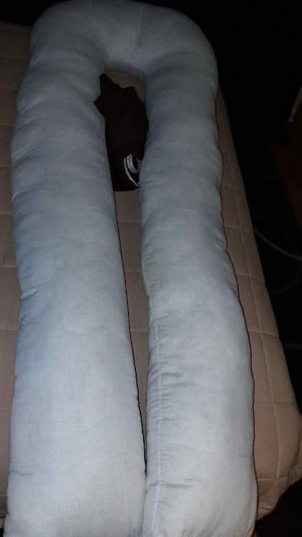 Photo of free Pregnancy / back pain pillow (Colshaw Farm SK9) #1