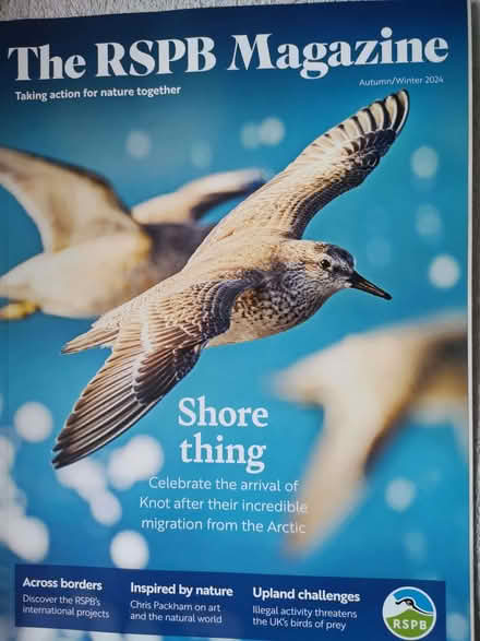 Photo of free RSPB magazines (Heelands MK13) #4