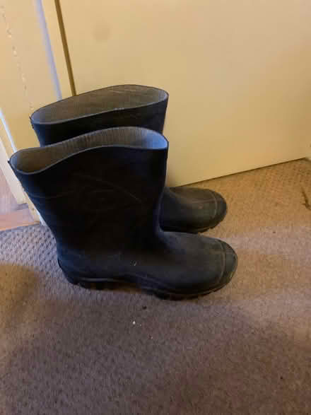 Photo of free Mens wellies (Palmerston CF63) #1