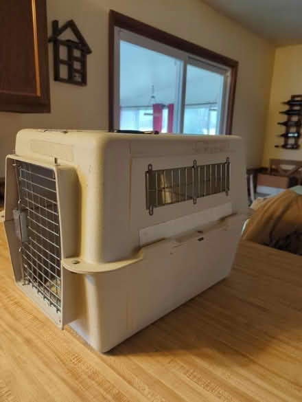 Photo of free Cat carrier (Shrewsbury) #1