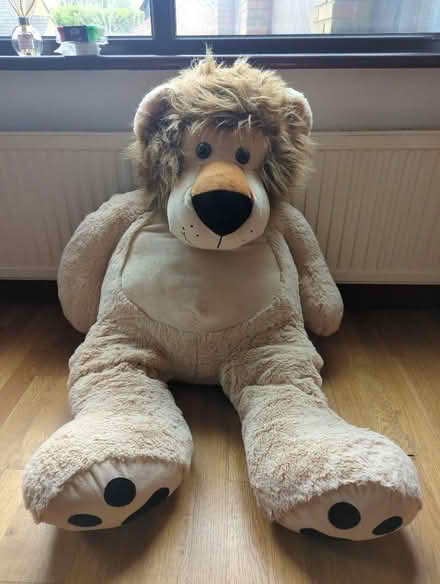 Photo of free Large cuddly lion (Dane Mead RG24) #1