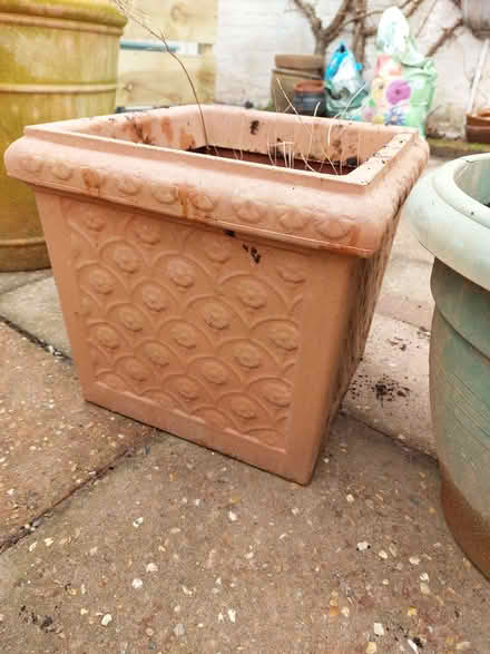 Photo of free Three plastic plant containers / pots (Wymondham NR18) #3