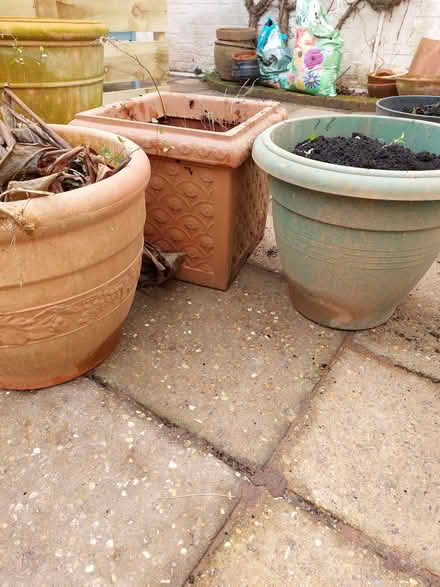 Photo of free Three plastic plant containers / pots (Wymondham NR18) #1