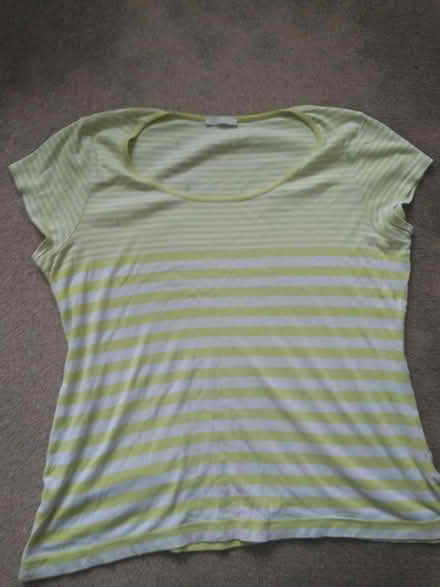 Photo of free Yellow Top (Leighton buzzard LU7) #1