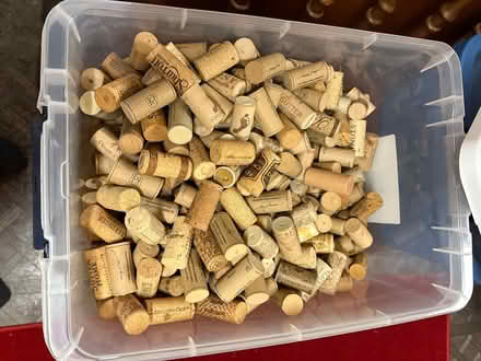 Photo of free Corks (Drexel Hill) #1