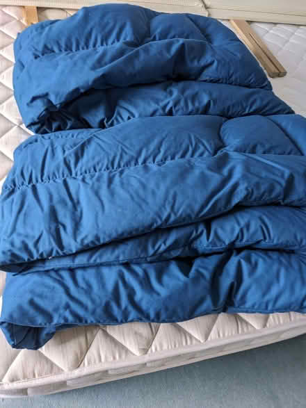 Photo of free Two feather eiderdowns (Bashall Eaves BB7) #1