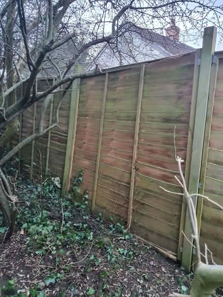 Photo of free 4 old fence panels and posts (Street on the Fosse BA4) #3