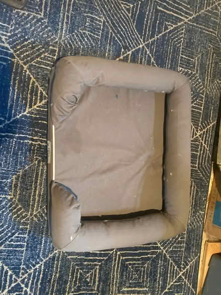 Photo of free Small dog bed (St. Johns) #1