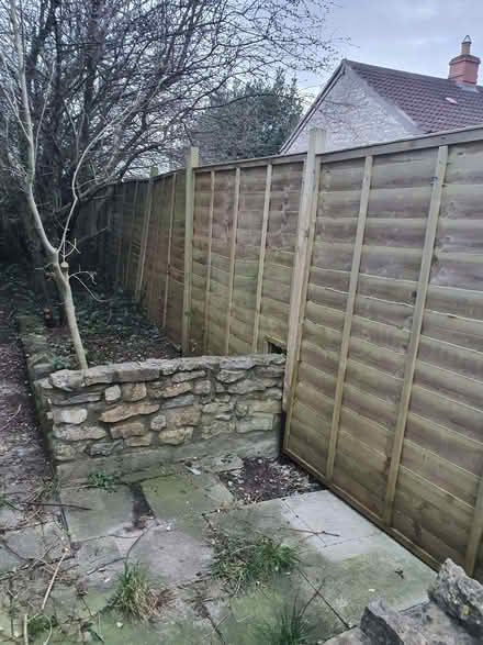 Photo of free 4 old fence panels and posts (Street on the Fosse BA4) #1