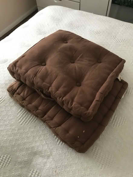 Photo of free Cushions (Snettisham PE31) #2