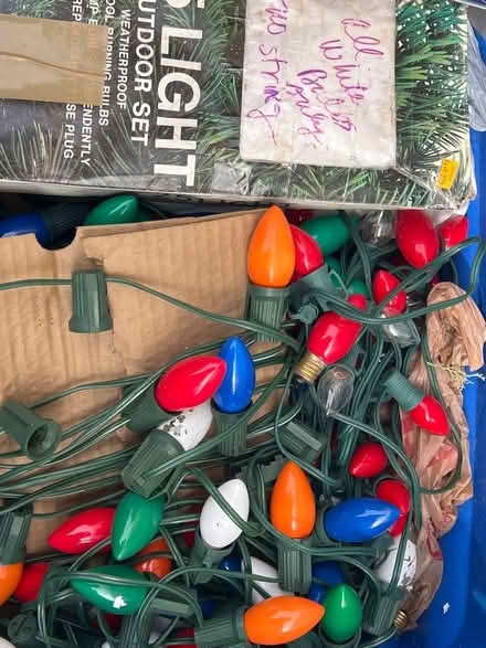 Photo of free Lots and lots of Christmas lights (NE Heights-Indian School/Penn) #1