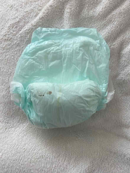 Photo of free Protective undergarments (Simsbury) #4