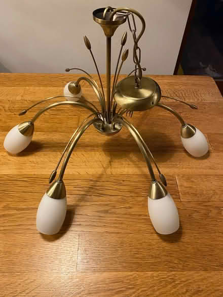 Photo of free 6 arm brushed brass chandelier (Harrogate HG2) #1